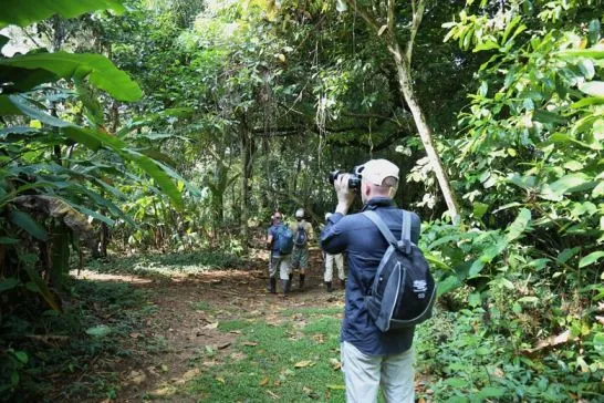 Activities in the National Park of Corcovado